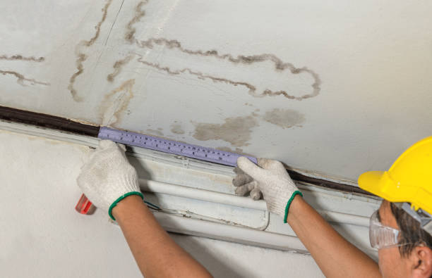 Reliable Water Damage contractor in Oregon City, OR by Water Damage Irwin